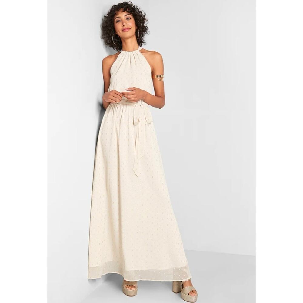 ModCloth Illuminated Elegance Chiffon Maxi Dress